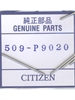 Citizen 509-P9020 watchband
