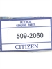 Citizen 509-2060 watchband