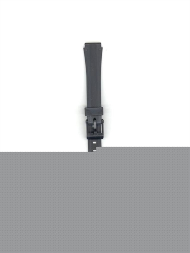 Casio 71606922 watchband